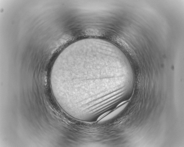 X0000088600731200706221405