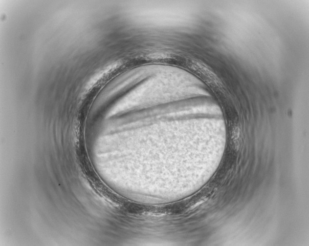 X0000088600732200706221405