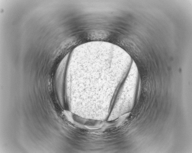 X0000088600743200706221405