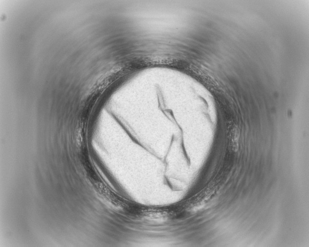 X0000088600746200706221405