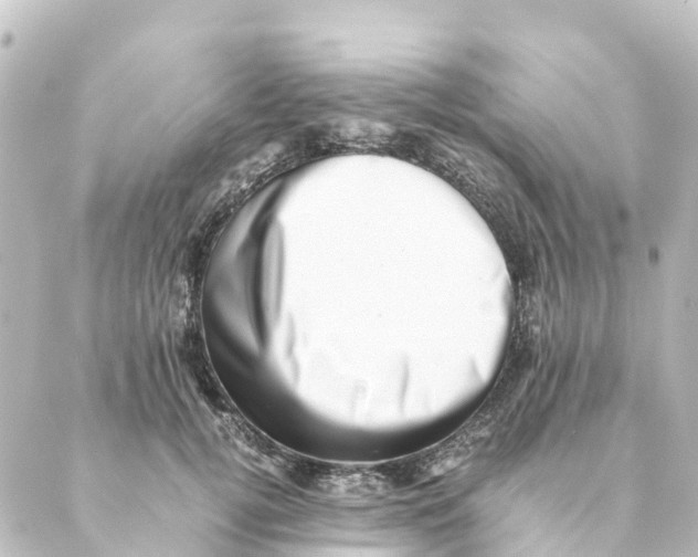 X0000088600752200706221405