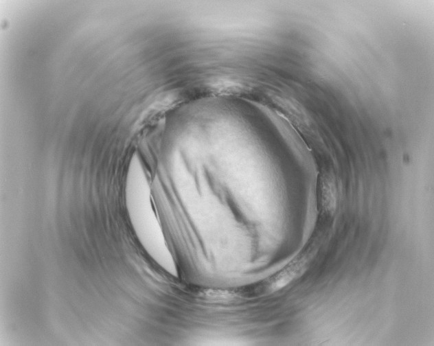 X0000088600766200706221406