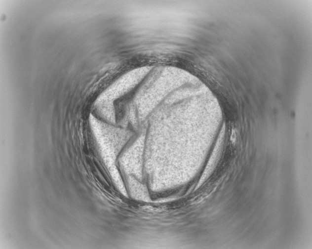X0000088600771200706221405