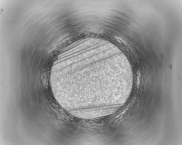 X0000088600774200706221405