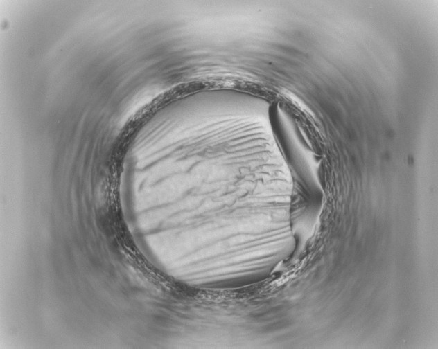 X0000088600775200706221405