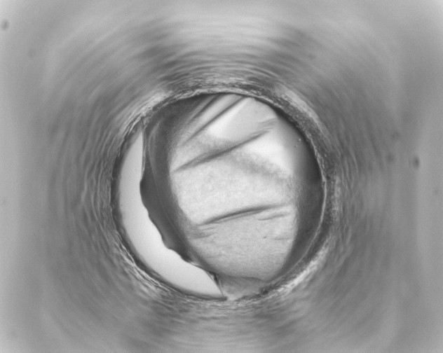 X0000088600777200706221405
