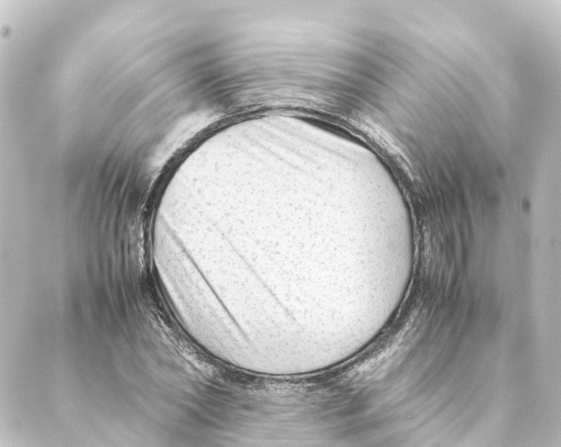 X0000088600782200706221405