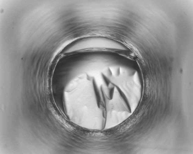 X0000088600784200706221405