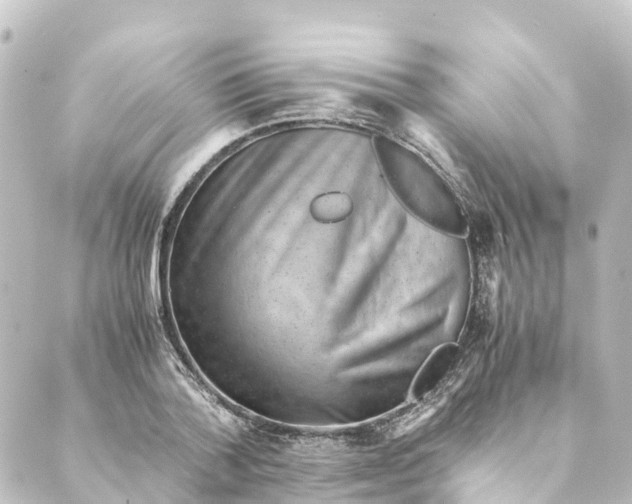 X0000088600788200706221405
