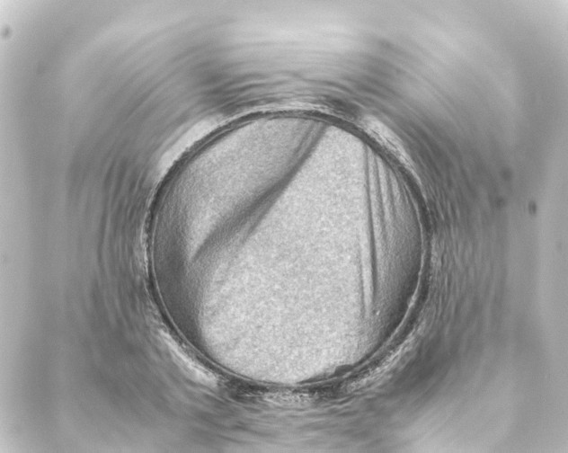 X0000088600789200706221404
