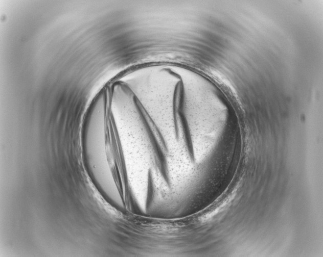 X0000088600792200706221404