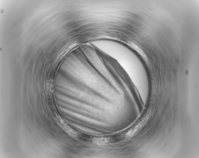 X0000088600793200706221404