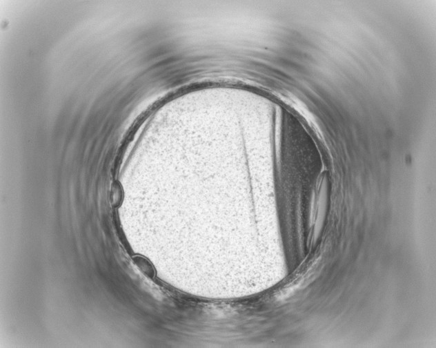 X0000088600799200706221404