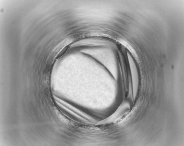 X0000088600801200706221404