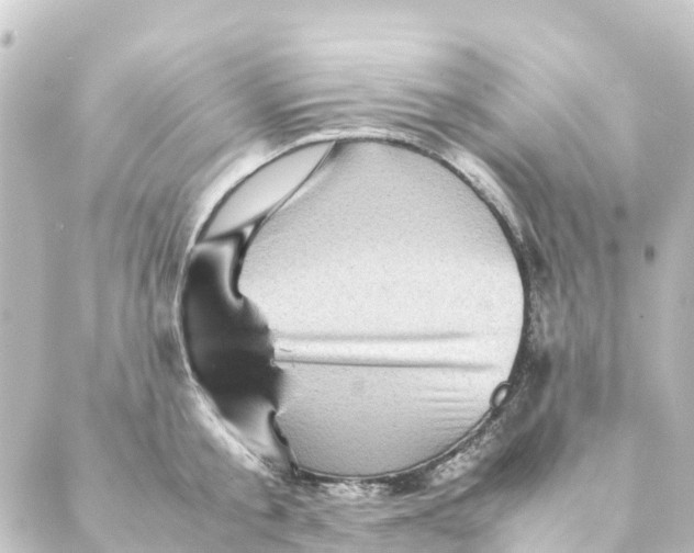 X0000088600805200706221404