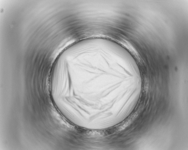X0000088600806200706221404
