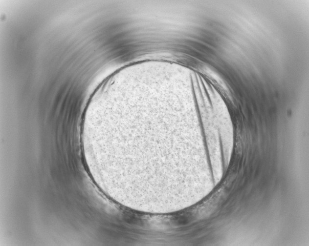 X0000088600808200706221404