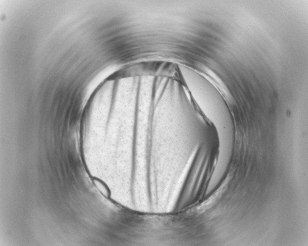 X0000088600812200706221404