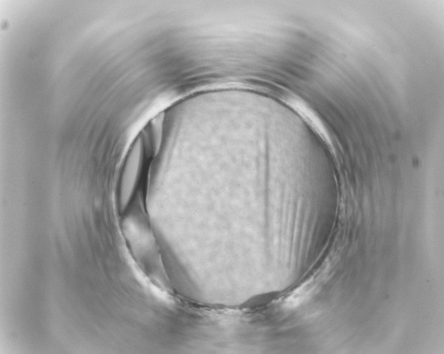 X0000088600813200706221404