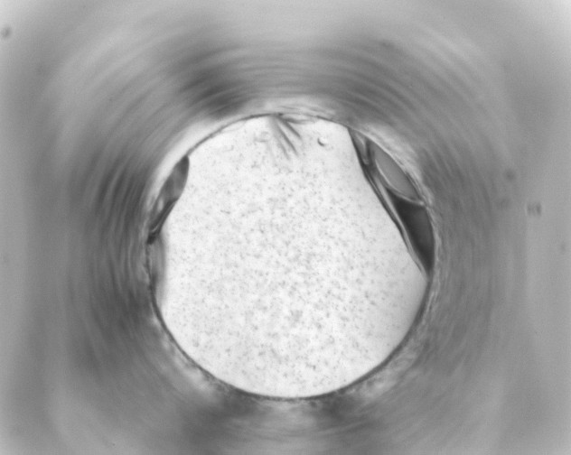 X0000088600816200706221404