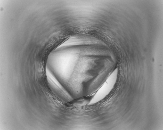 X0000088600818200706221403