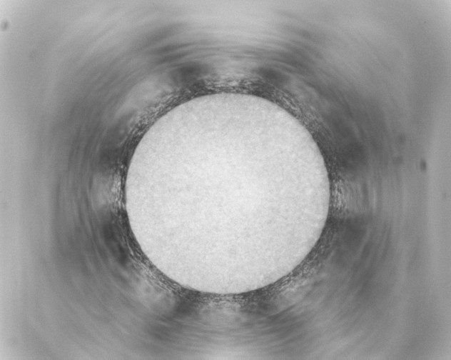 X0000088600820200706221403