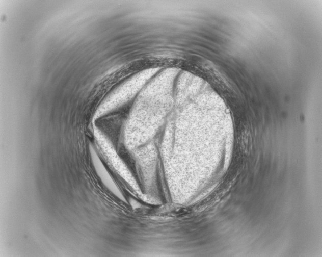 X0000088600821200706221403