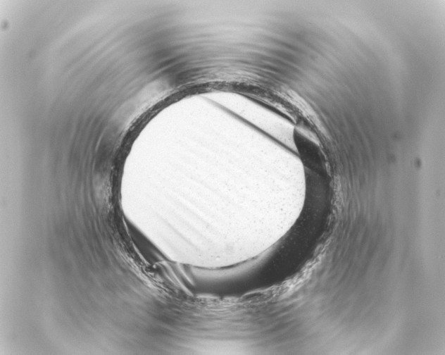 X0000088600826200706221403