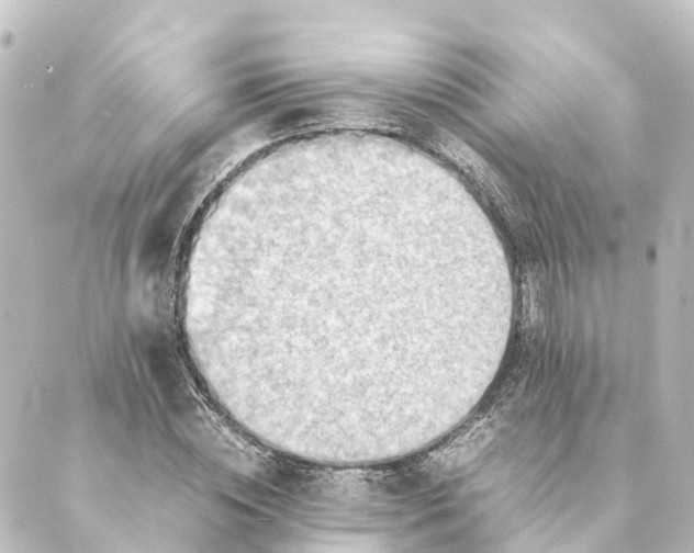 X0000088600828200706221403