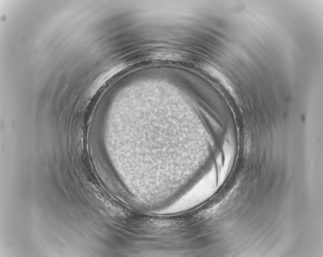 X0000088600829200706221403