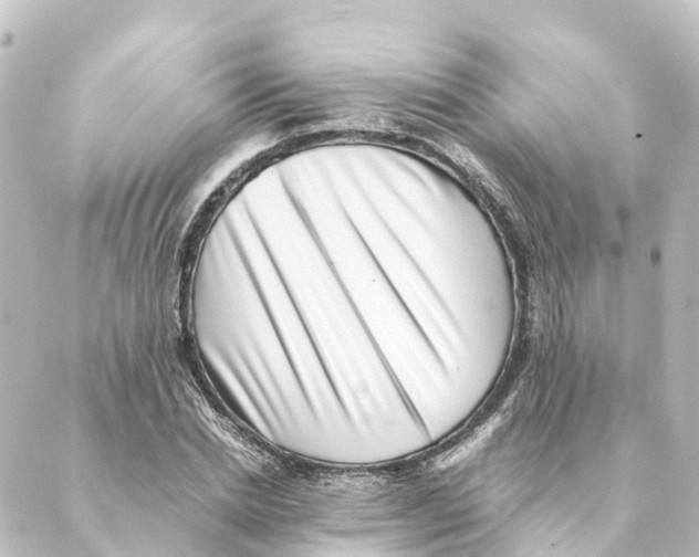 X0000088600830200706221403
