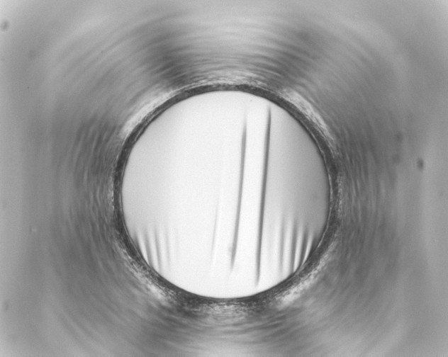 X0000088600834200706221404
