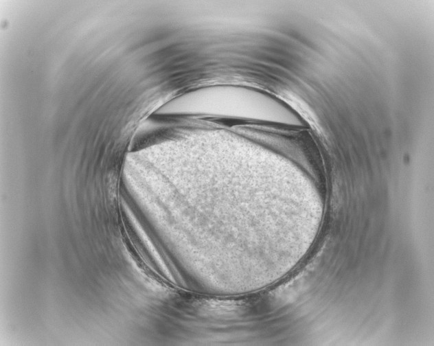 X0000088600849200706221404