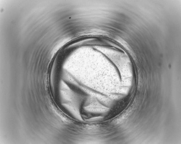 X0000088600850200706221404