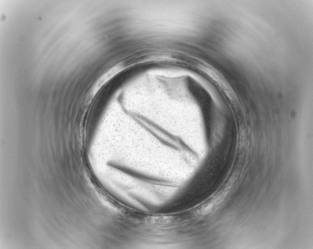 X0000088600858200706221404
