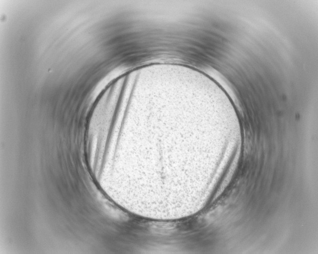 X0000088600861200706221404