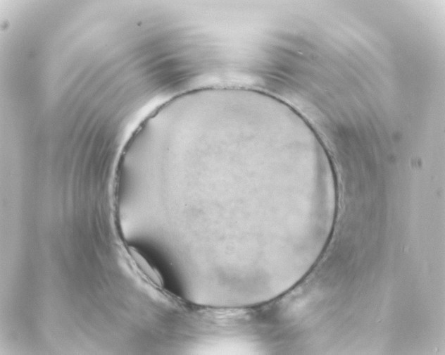 X0000088600864200706221404