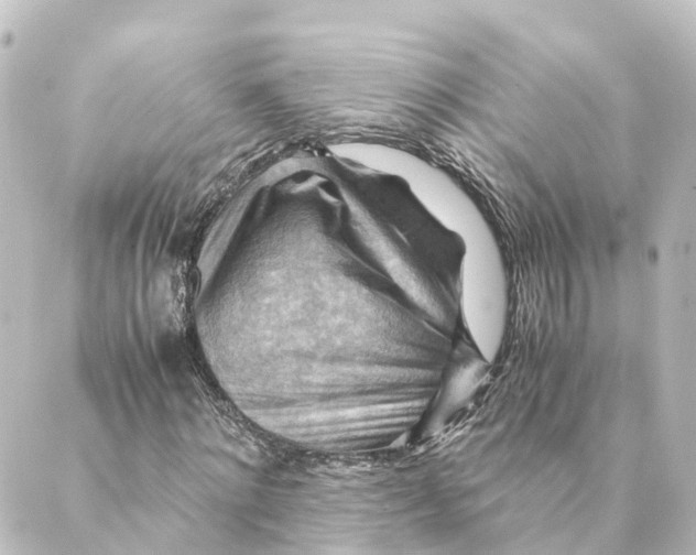 X0000088600868200706221403