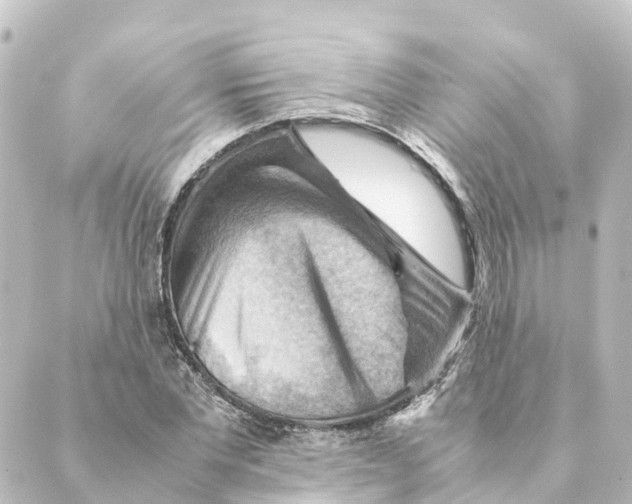 X0000088600877200706221403