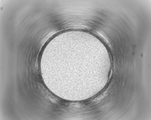 X0000088600883200706221403