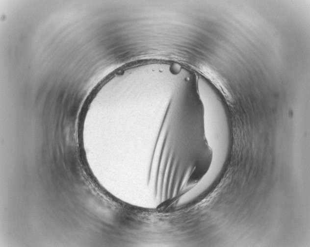 X0000088600884200706221403