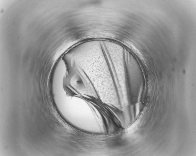 X0000088600885200706221403