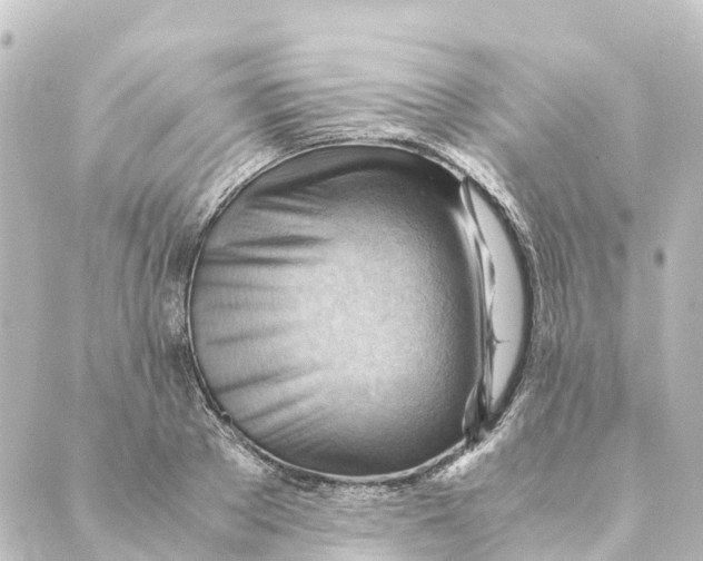 X0000088600889200706221403