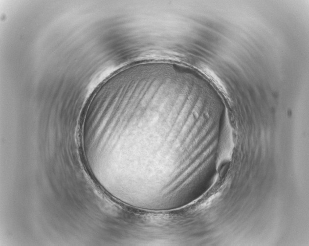 X0000088600893200706221403