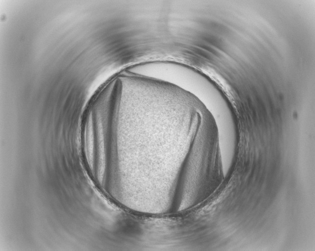 X0000088600894200706221403
