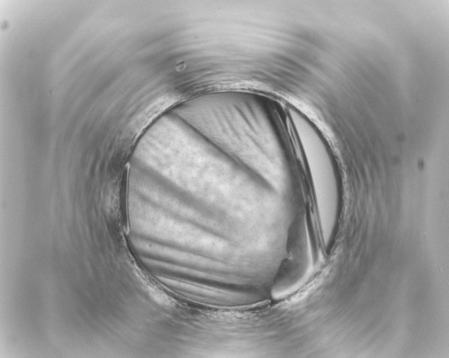 X0000088600897200706221403