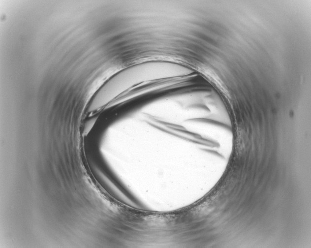 X0000088600898200706221403