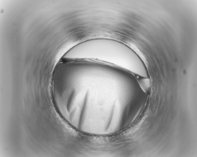 X0000088600901200706221403