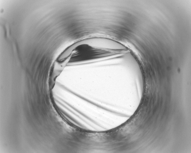 X0000088600902200706221403