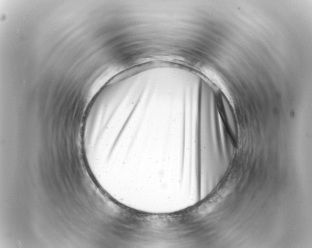 X0000088600906200706221403